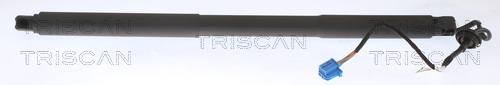 Gasveer, kofferruimte Triscan 8710 23301