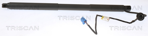 Gasveer, kofferruimte Triscan 8710 23304