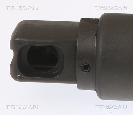 Triscan Gasveer, kofferruimte 8710 23304