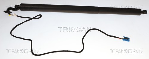 Gasveer, kofferruimte Triscan 8710 23323