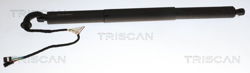 Gasveer, kofferruimte Triscan 8710 24306
