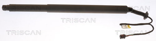 Gasveer, kofferruimte Triscan 8710 27303