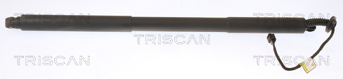 Gasveer, kofferruimte Triscan 8710 27305