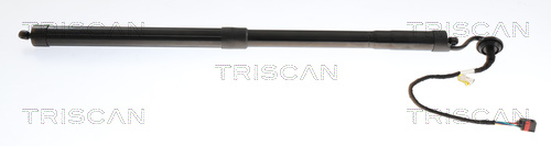 Gasveer, kofferruimte Triscan 8710 27314