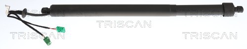 Gasveer, kofferruimte Triscan 8710 28304