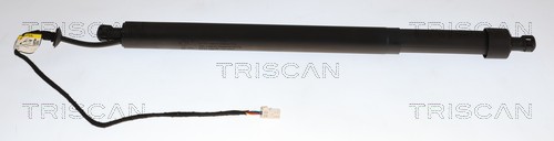 Gasveer, kofferruimte Triscan 8710 28307