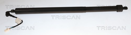 Gasveer, kofferruimte Triscan 8710 28311