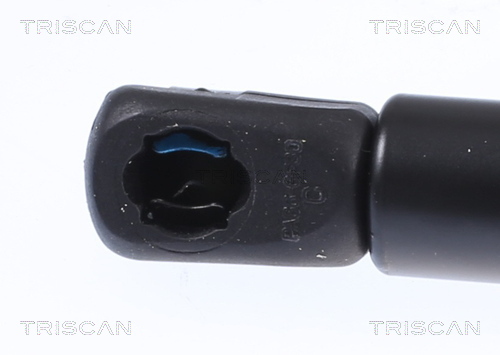 Triscan Gasveer, motorkap 8710 29151