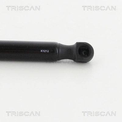 Triscan Gasveer, kofferruimte 8710 292010