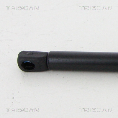 Triscan Gasveer, kofferruimte 8710 292054