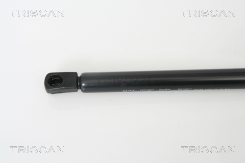 Triscan Gasveer, kofferruimte 8710 29272