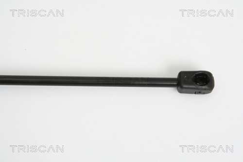 Triscan Gasveer, kofferruimte 8710 29279