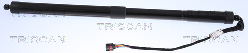 Gasveer, kofferruimte Triscan 8710 29301