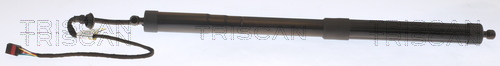 Gasveer, kofferruimte Triscan 8710 29303