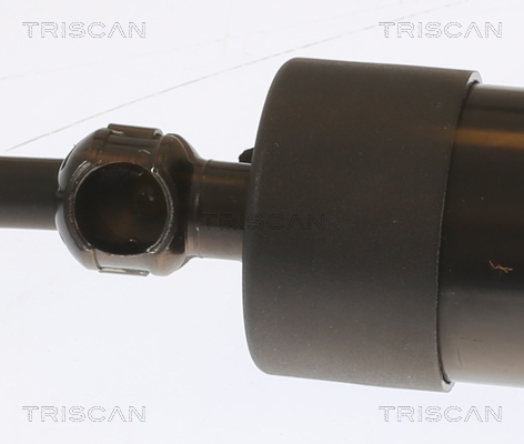 Triscan Gasveer, kofferruimte 8710 29303