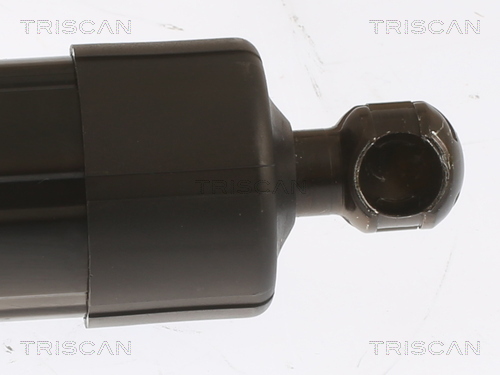 Triscan Gasveer, kofferruimte 8710 29303