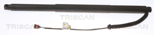 Gasveer, kofferruimte Triscan 8710 29304