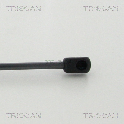 Triscan Gasveer, kofferruimte 8710 38245