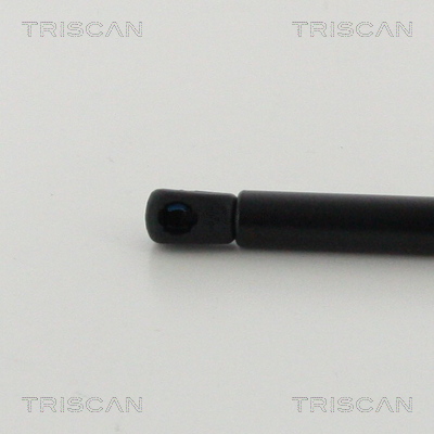 Triscan Gasveer, kofferruimte 8710 38245