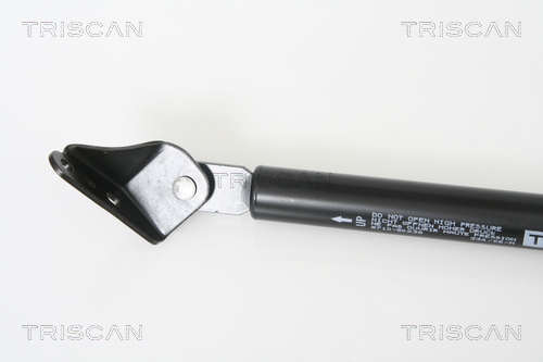 Triscan Gasveer, kofferruimte 8710 50239