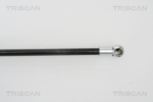 Triscan Gasveer, kofferruimte 8710 50239