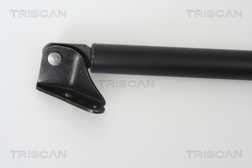 Triscan Gasveer, kofferruimte 8710 50240