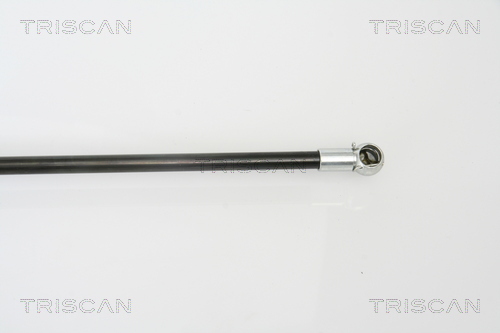 Triscan Gasveer, kofferruimte 8710 50240