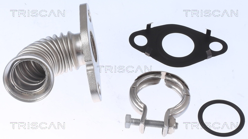 EGR-klep Triscan 8811 16000
