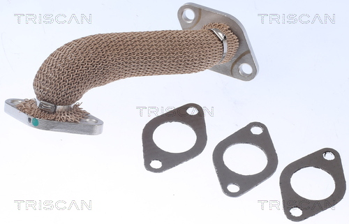 EGR-klep Triscan 8811 29105