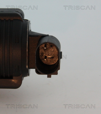 Triscan EGR-klep 8813 10015