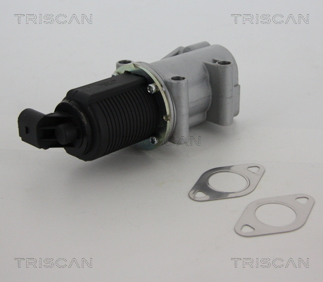 Triscan EGR-klep 8813 10015