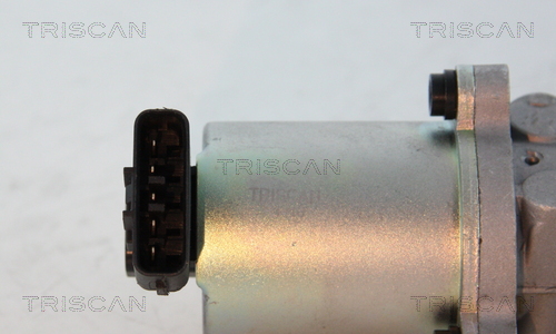 Triscan EGR-klep 8813 13102