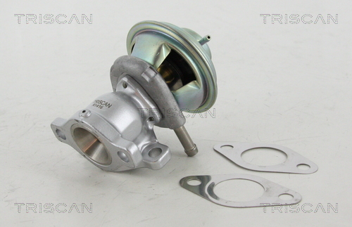 Triscan EGR-klep 8813 15029