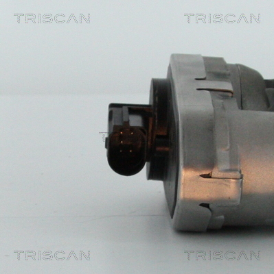 Triscan EGR-klep 8813 16101