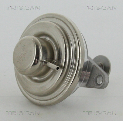 EGR-klep Triscan 8813 24054