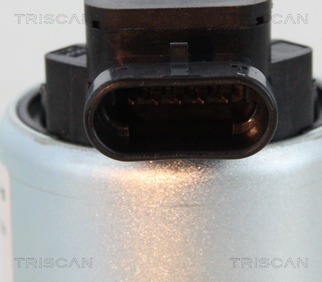 Triscan EGR-klep 8813 28008
