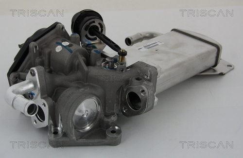 EGR-klep Triscan 8813 29303