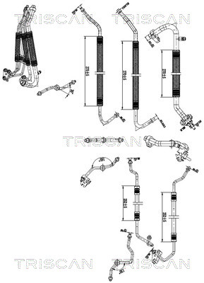 Hoge druk- / lage drukleiding, airconditioning Triscan 9010 81011