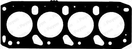 Cilinderkop pakking Payen AB5811