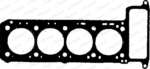 Cilinderkop pakking Payen BW410