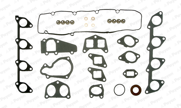 Cilinderkop pakking set/kopset Payen CC5010