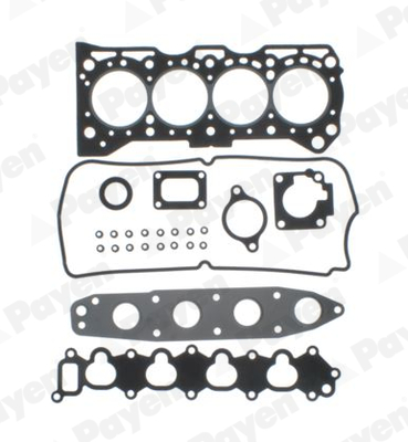 Cilinderkop pakking set/kopset Payen CG5511