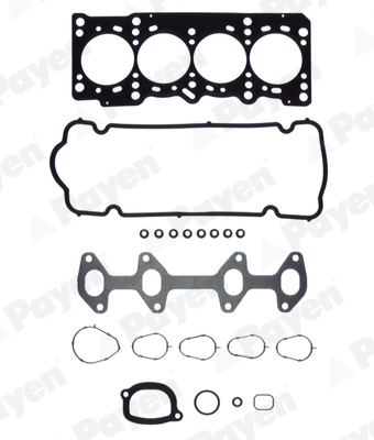 Cilinderkop pakking set/kopset Payen CG7381