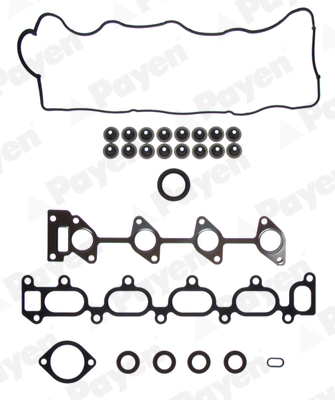 Cilinderkop pakking set/kopset Payen CG7920