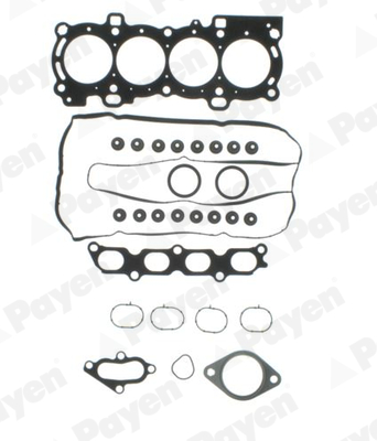 Cilinderkop pakking set/kopset Payen CH5680