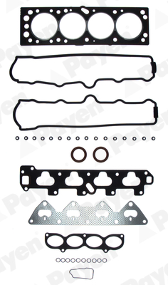 Cilinderkop pakking set/kopset Payen CY210