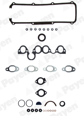 Cilinderkop pakking set/kopset Payen DD501