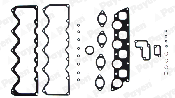 Cilinderkop pakking set/kopset Payen DH080