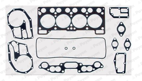 Cilinderkop pakking set/kopset Payen DH681