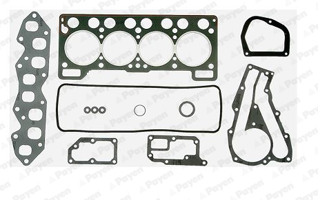 Cilinderkop pakking set/kopset Payen DH693